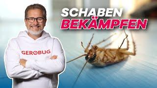 SCHABEN BEKÄMPFEN - Mit dieser Profi Methode wirst du sie schlagartig wieder los!