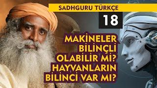 Sadhguru Türkçe 18 : Makineler Bilinçli Olabilir mi Hayvanların Bilinci Var mı?