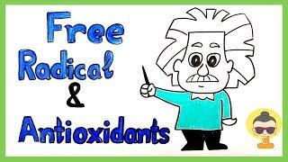 Casually Explained: Free Radical & Anti-oxidant