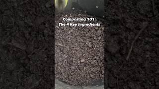 Composting 101: The 4 Key Ingredients 