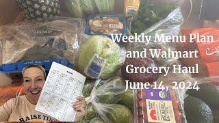 Weekly Menu and Walmart Grocery Haul!