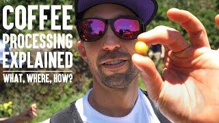 Coffee Explained. What Coffee Is, Where Coffee Comes From, Coffee Processing. | Real Chris Baca