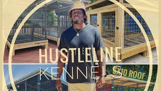 How We’re Taking Outdoor Dog Kennels to the Next Level | HustleLine Kennels