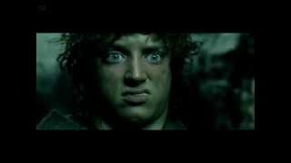 Фродо кайфанул...