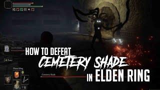 How to Defeat Cemetery Shade at Black Knife Catacombs in Elden Ring (Easy Kill)