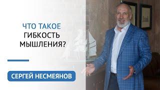 Что такое гибкость мышления | Сергей Несмеянов | Психология бизнеса