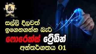 Forex basics explain 01