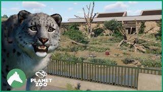 Snow Leopard Habitat | Elm Hill City Zoo | Planet Zoo