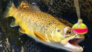 Pleasant Valley Power House Fishing Eastern Sierras