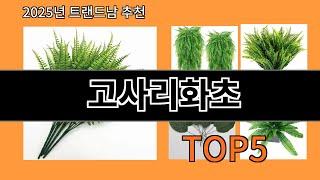 고사리화초 가성비 최고 알리익스프레스 필수템 BEST 10
