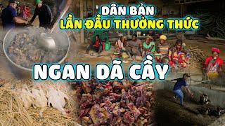 Quanglinhvlogs || "Ngan Giả Cầy" Người Dân Bản Lần Đầu Được Thưởng Thức Và Cảm Nhận.