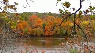 STUNNING America Back Roads ! Beautiful scenic country road,