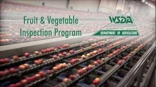 WSDA's Fresh Fruit & Vegetable Inspection Program