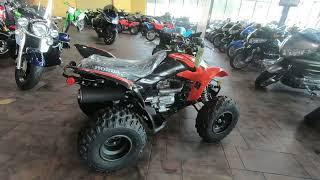 New 2024 Honda TRX250X ATV For Sale In Medina, OH