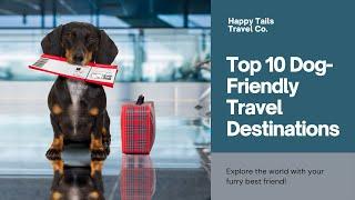 Top 10 Dog-Friendly Travel Destinations for Your Next Adventure