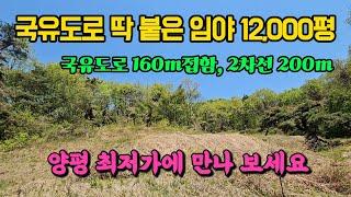 진짜 싸고 도로 딱 붙은 12000평 넓은 양평 임야, 산지, 토지 땅 부동산 매매 매물 급매 급매매 급매물