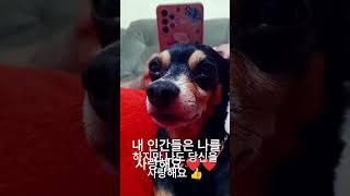 (제목 없음)
