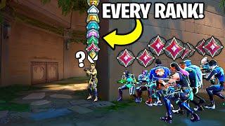 1 of Every Rank VS 9 Immortals! - (Can Anyone Win?)