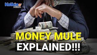 Who is a Money Mule? How do Money Mules operate?