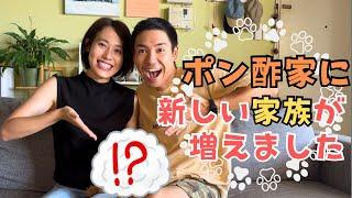 【ケアンズ】ポン酢夫妻より新しい家族の紹介！