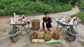 The orphan boy picked jackfruit, caught all the ducks and sold them to make a living