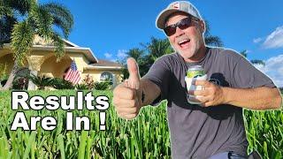 FINAL RESULTS // How To Get Rid of Bermuda in St Augustine Grass (and zoysia)