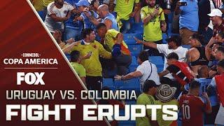 Darwin Núñez, Uruguay players fight with Colombian fans in the stands | Copa América 2024