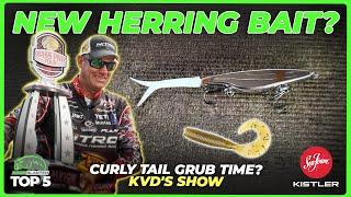 Herring bait, Grubs, Bait soak time, Lock box deets - Top 5 in Bass Fishing Ep 99!