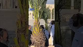 Jewish settlers storm the Al-Aqsa Mosque under the protection of Israeli police in Jerusalem