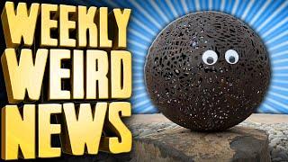 The Googly Eyes Bandit - Weekly Weird News