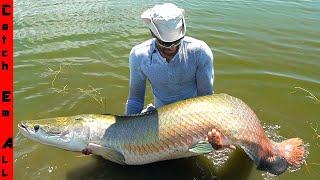 We CAUGHT this GIANT FISH in a FLORIDA POND!