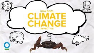 HOW DOES CLIMATE CHANGE AFFECT US? - Climate Change #3 | Conservation International Singapore
