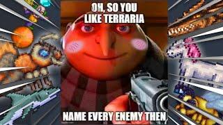 Oh you like Terraria? Name Every Terraria Enemy...