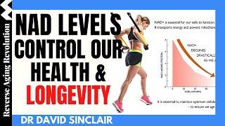 NAD LEVELS Control Our Health & Longevity - 3 WAYS to Boost It | Dr David Sinclair Interview Clips