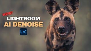 How To Use LIGHTROOM AI DENOISE | Noise Reduction