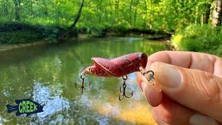Tiny Wild Stream Ultralight Fishing