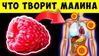 Вот что Малина сделает с Вами если есть её каждый день! Польза и вред Малины