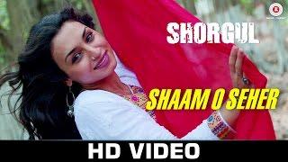 Shaam O Seher - Shorgul | Suha Gezen, Aniruddh Dave & Hiten Tejwani | Vishal Mishra | Lalit Pandit