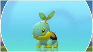 [LIVE] Shiny Turtwig After 245 Soft Resets! - Pokemon Brilliant Diamond