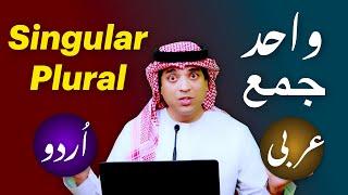 Singular Plural in spoken arabic with Urdu and English | عربی واحد جمع اردو میں