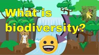 Biodiversity and conservation biology What is Biodiversity? Animation video for youtube channel uk