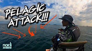 KERJA GILA KAYUH KAYAK +- 20KM! | Strike Ikan Pelagik BERTUBI-TUBI| Kayak Fishing ZERO to HERO! v121