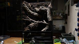 Build Vivarium for Crested Geckos | 크레스티드 게코를 위한 비바리움 만들기 | 60*45*90cm