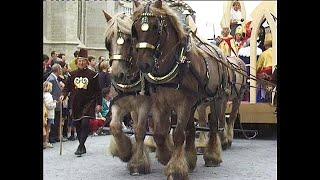 Draft horses and other animals in a beautiful historical parade