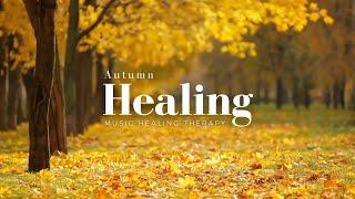 Healing Time with Autumn Scenery, Embrace the Beauty of Autumn 4 Hours of Continuous Play