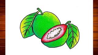 Guava Drawing || How to Draw Guava Fruit Step By Step || Easy Guava Fruit Drawing Colour..