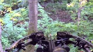 Tenpoint FX4 Stealth Crossbow - Doe Patrol