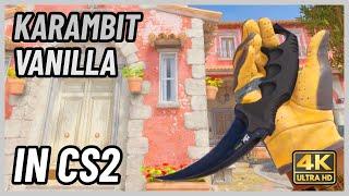  CS2 Karambit Vanilla | CS2 Knife In-Game Showcase [4K]