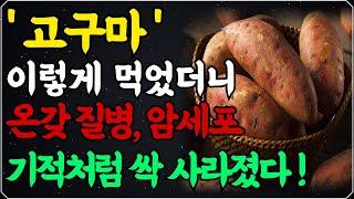 항암 1등! 고구마의 놀라운 효능! / 이렇게 드세요! 고혈압, 당뇨, 온갖 성인병 싹 사라집니다! / 효능 높이는 법 / 고구마의 힘