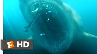 The Meg (2018) - Shark Cage vs. Megalodon Scene (5/10) | Movieclips